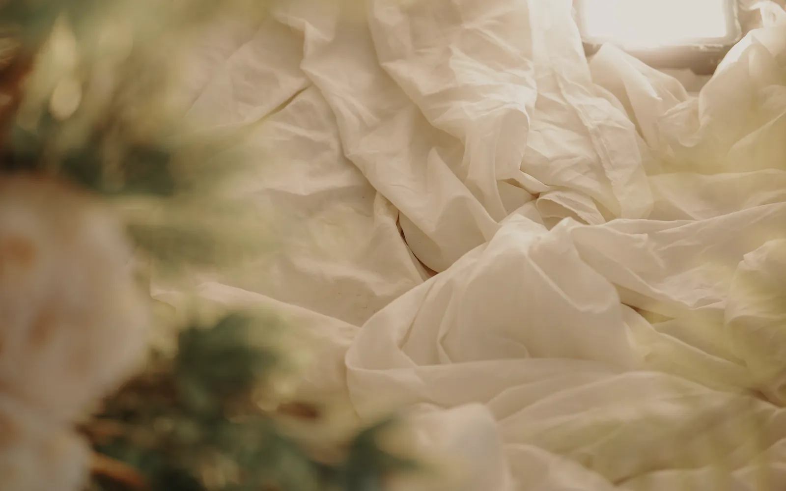 Soft white bed linen in warm window light, garden flowers blurred at one edge
