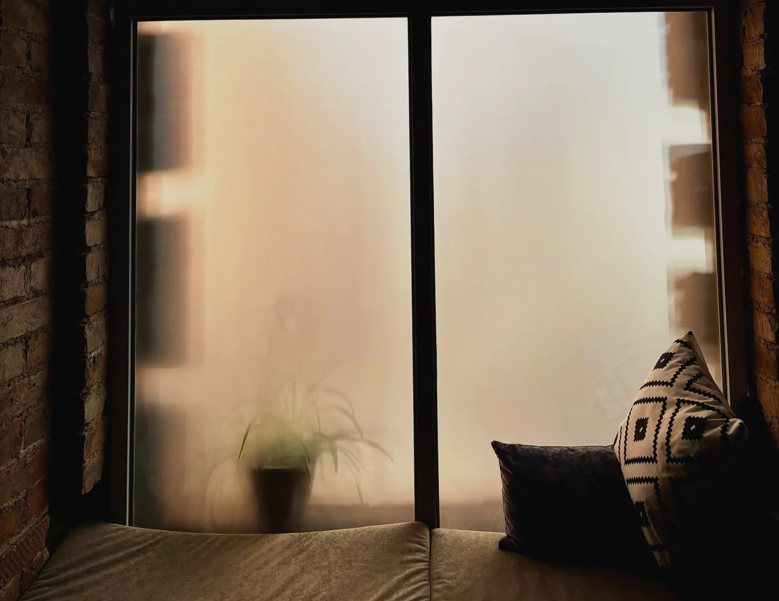 A window seat with cushions and a small plant under a frosted window
