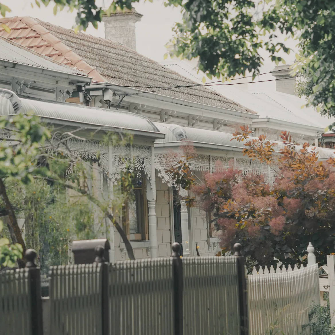 Victorian cottages with iron lace verandahs behind a picket fence, under street trees